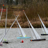 Plenty of room at the Mark - Photo by Sue Brown