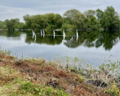 Halfpenny Trophy 18th May 2024